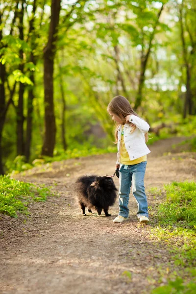 Little girl playing with dog in summer day — Stock Photo, Image