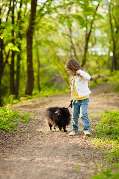 Menina brincando com o cão no dia de verão — Fotografia de Stock