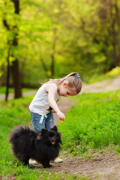 Κοριτσάκι παίζει με το σκυλί στη θερινή ημέρα — Φωτογραφία Αρχείου