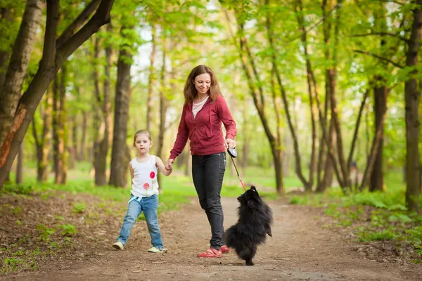 Madre e hijo paseando jugando con el perro — Foto de Stock