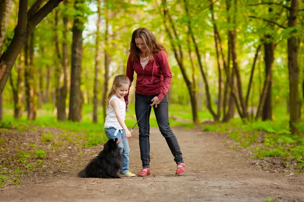 Mãe e criança andando brincando com o cão — Fotografia de Stock