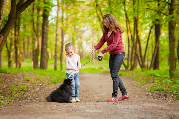 Μητέρα και παιδί, περπάτημα, παίζοντας με το σκύλο — Φωτογραφία Αρχείου