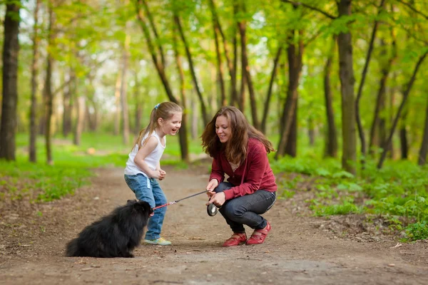 Мать и ребенок гуляют с собакой — стоковое фото