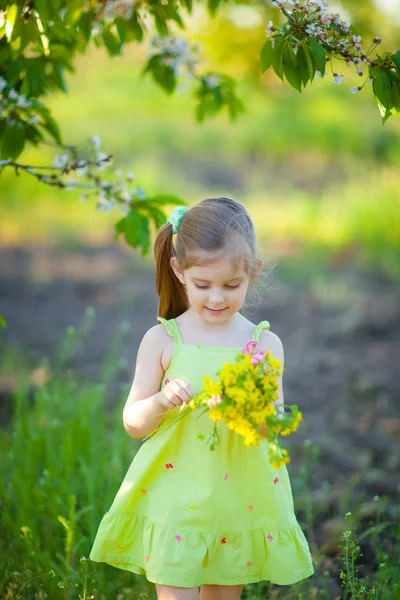 Menina bonito com flores de campo — Fotografia de Stock