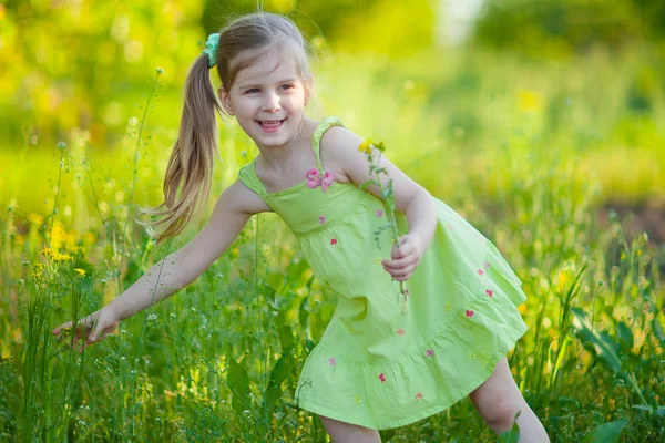 Cute little girl with field flowers — Stock Photo, Image