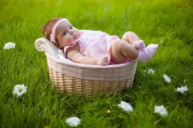 Lovely baby girl in the basket clipart