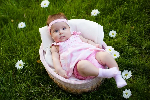 Lovely baby girl in the basket — Stock Photo, Image