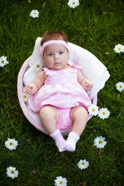 Lovely baby girl in the basket — Stock Photo, Image