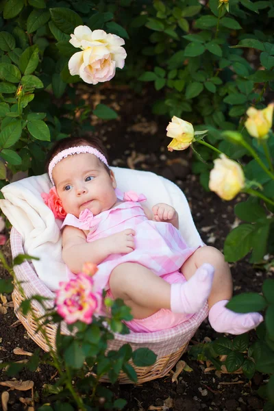 Neewborn αξιολάτρευτο κορίτσι στο garden τριαντάφυλλα — Φωτογραφία Αρχείου