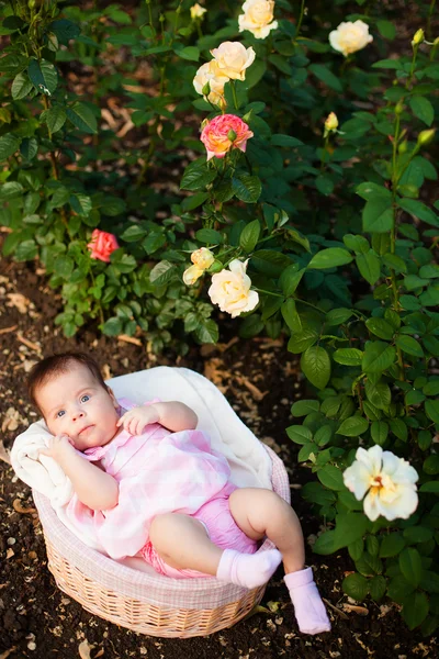 Adorable neewborn girl at roses garden — Stock Photo, Image