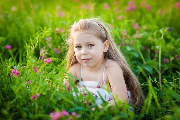 Criança adorável no prado — Fotografia de Stock