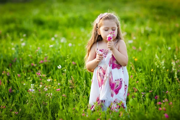 Süßes blondes Mädchen, das Blumen auf der Wiese riecht — Stockfoto