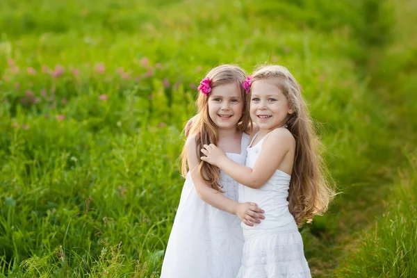 Duas meninas encantadoras jogando no prado — Fotografia de Stock