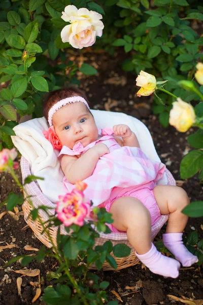 Adorabile neonata ragazza al giardino di rose Foto Stock