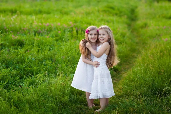 Twee mooie meisjes spelen op weide Stockfoto