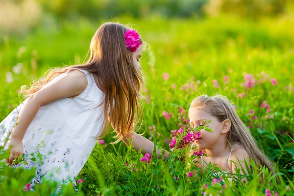 Dos chicas encantadoras jugando en el prado — Foto de Stock