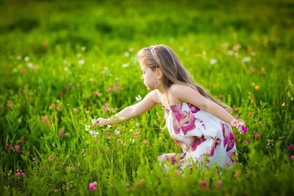 Doce menina loira cheirando flores no prado — Fotografia de Stock