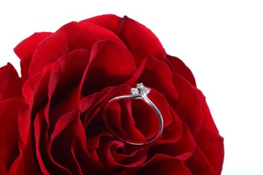 Red rose and a female ring clipart