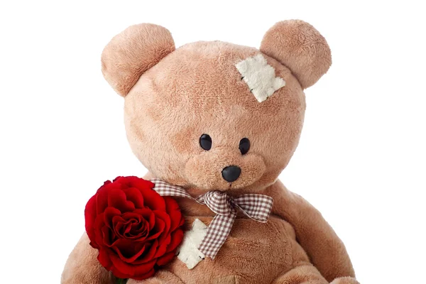 Teddybär und rote Rose — Stockfoto