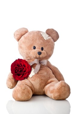 Lovely teddy bear and red rose clipart