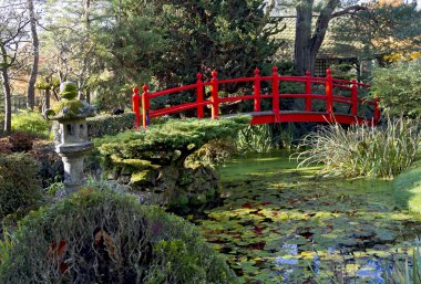 Köprü yaşam kildandre Japon bahçeleri
