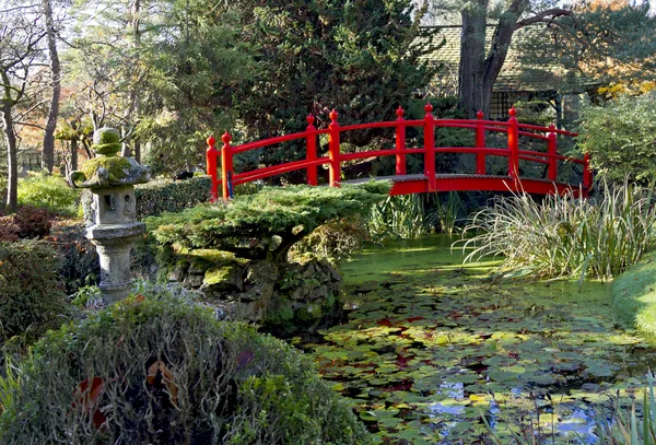 Bro av livet i kildandre japanska trädgårdar — Stockfoto