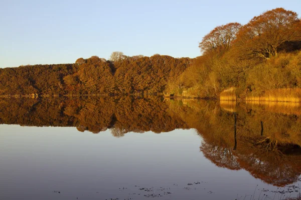 Riverside of Irish Heritage Park —  Fotos de Stock
