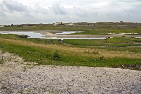 Naturparken Het Zwin — Stockfoto