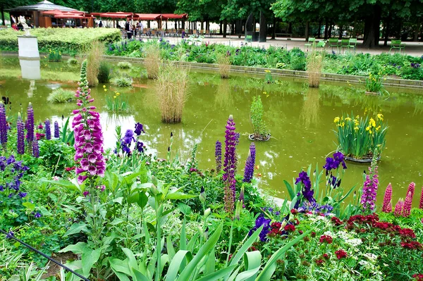 Green Gardens in Paris Jardin de Tuileries