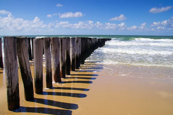 Tenger hullámok gördülő a strandon Jogdíjmentes Stock Képek