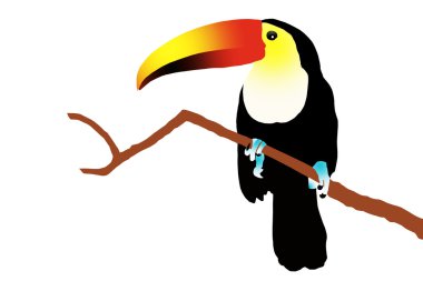 Toucan clipart