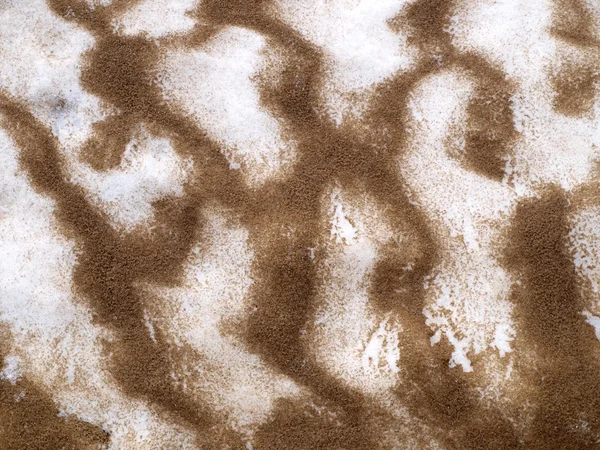 Kar ve kum doku — Stok fotoğraf