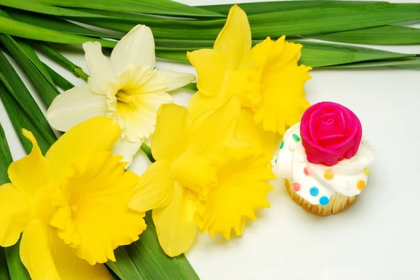 Cupcake για μαμά για την ημέρα της μητέρας — Φωτογραφία Αρχείου