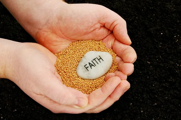 Висаджування насіння віри — стокове фото