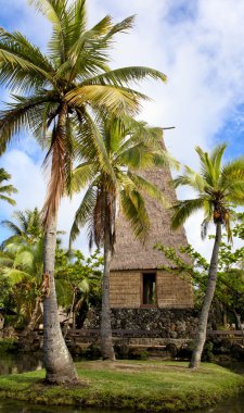 Polynesian hut on Oahu Island in Hawaii clipart