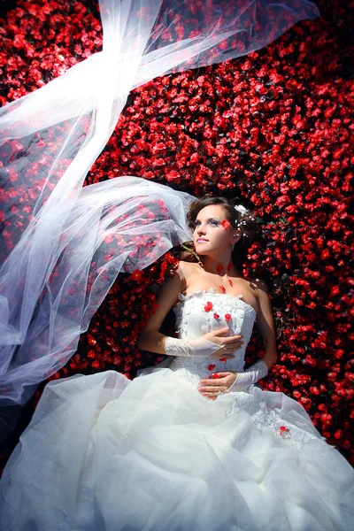 Braut liegt im Blumenbeet — Stockfoto