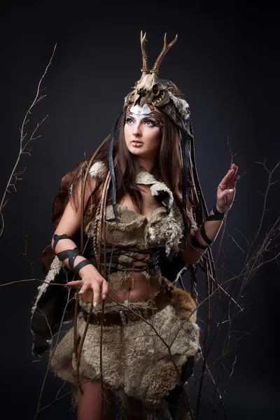 Retrato do viking feminino Fotografias De Stock Royalty-Free