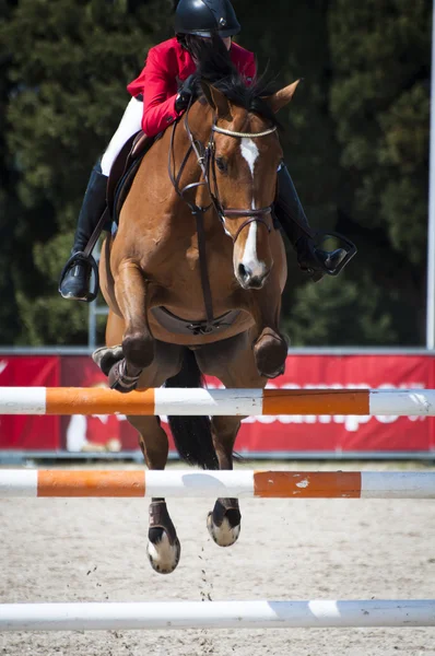 Salto de show — Fotografia de Stock