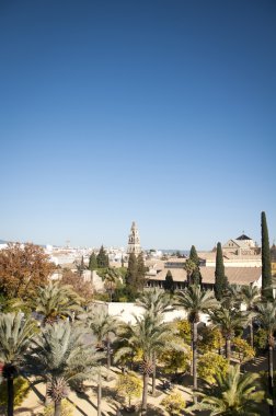 Cordoba Cityscape