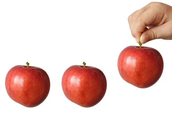 stock image A child holds a large red apple fruit stem