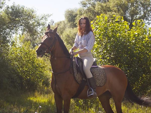 A girl sits on horse — Stock Photo, Image