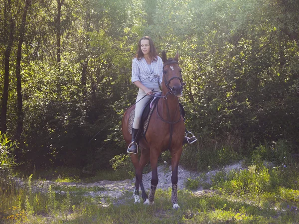 Девушка садится на лошадь Стоковое Фото