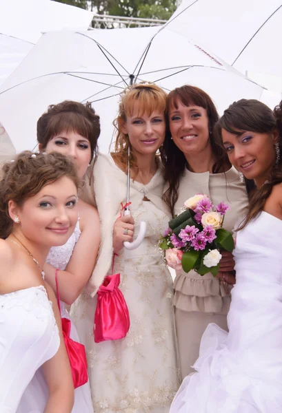 Spose sfilata 2011 — Foto Stock
