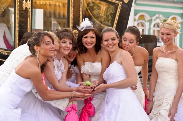 Desfile de novias 2011 — Foto de Stock