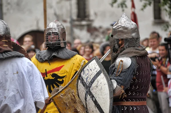 Festival Internacional Anual de História Militar conhecedores e amantes do — Fotografia de Stock