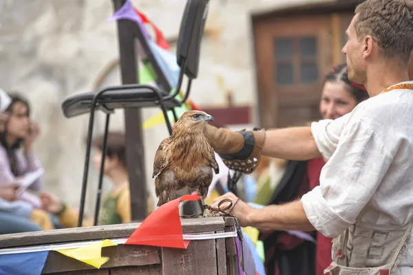 stock image Annual International Festival of Military History