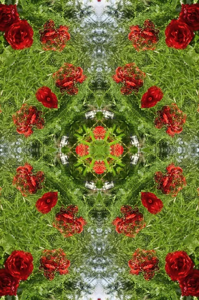 Vert avec des roses rouges décoration — Photo