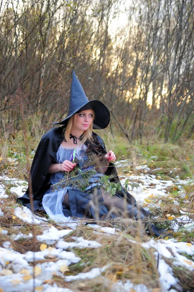 巫婆在帽子 — 图库照片