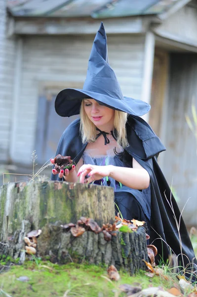 巫婆在帽子 — 图库照片