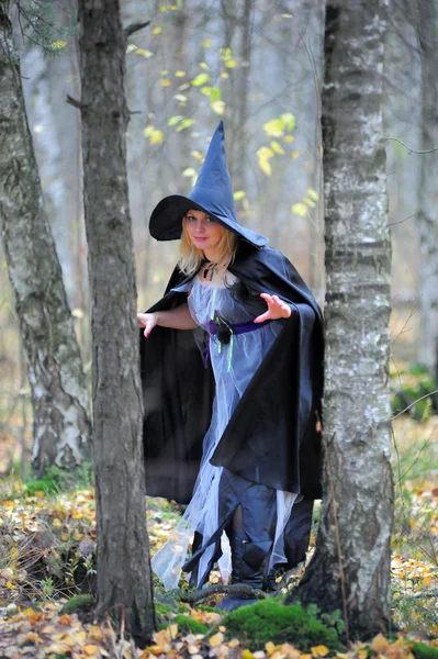 Witch in the wood — Stock Photo, Image